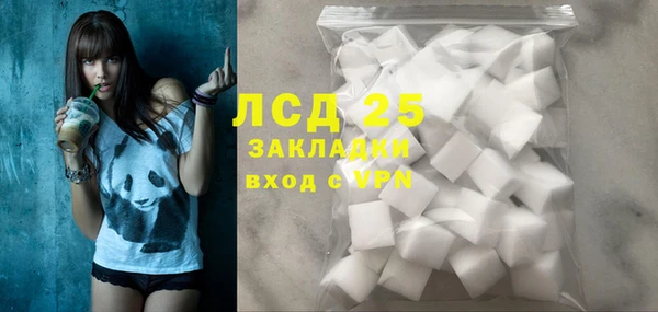 дживик Богородицк