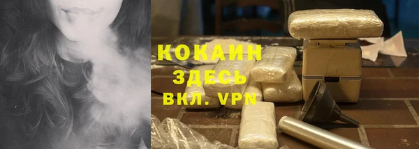 дживик Богородицк