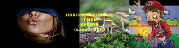 каннабис Верея