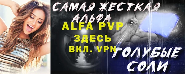прущие грибы Новозыбков