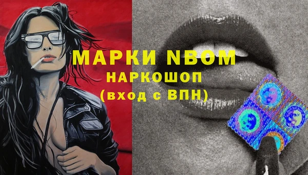 дживик Богородицк