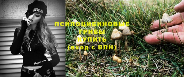 дживик Богородицк