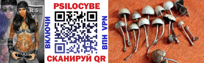 Псилоцибиновые грибы прущие грибы  Старица 